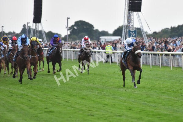 yr22072022r7-32 - Race 7 8.25pm The Sky Bet Go-Racing-In-Yorkshire Summer Festival Stakes