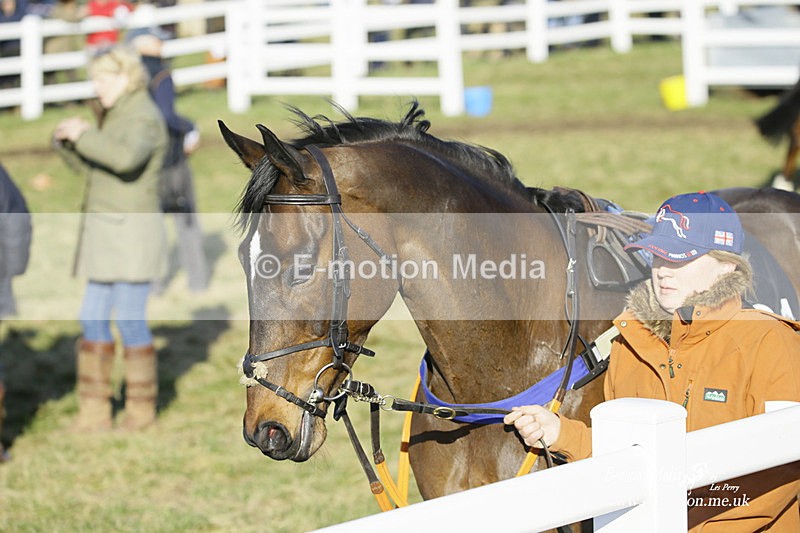PtP 270222 253 - South & West Wilts Point-to-Point Larkhill 27/02/22