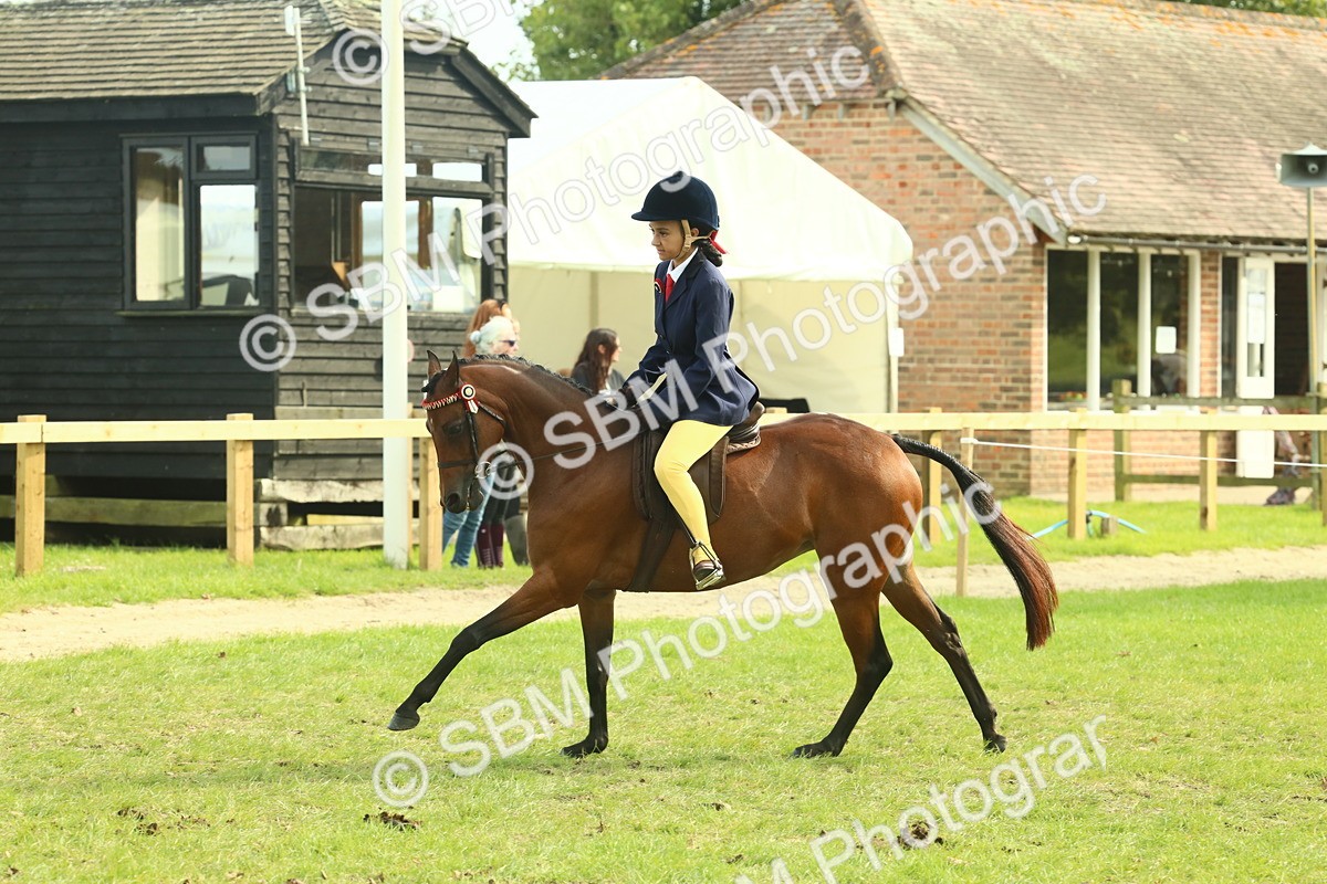 SBM_68098 - S57 - Part Bred Pony Ridden