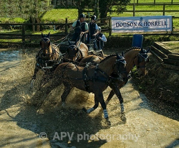 _DSC9053sml - Ashfields Carriage & Polo Club