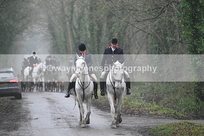 WJ7_3610 - In-between lines