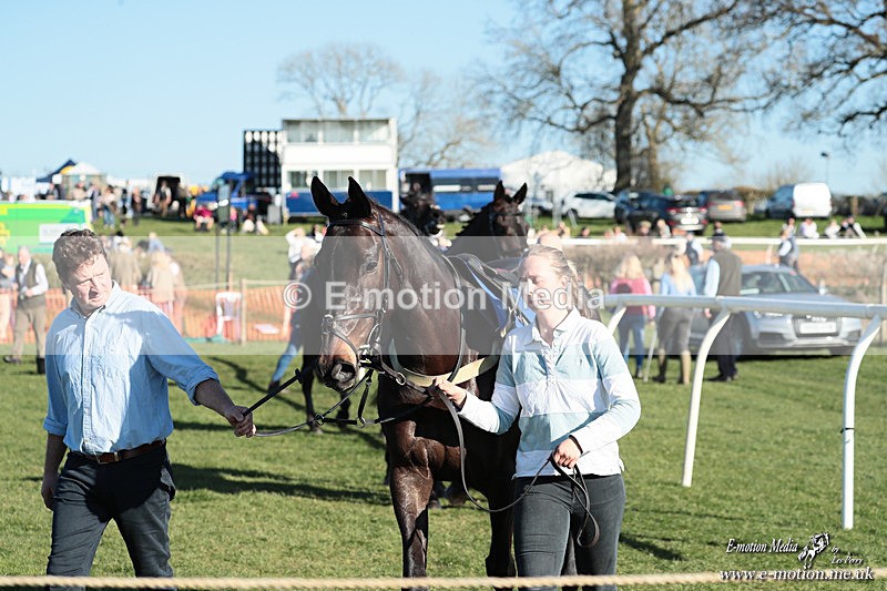 PtP 210326 905 - VWH Cirencester Races 21/03/26