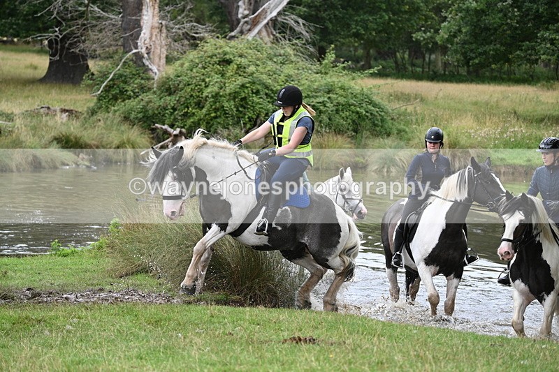 WJ7_3010 - Time at Water 11:37 to 12:13