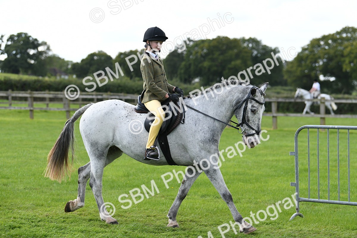 SBM_46695 - S12 - Family Horse & Pony