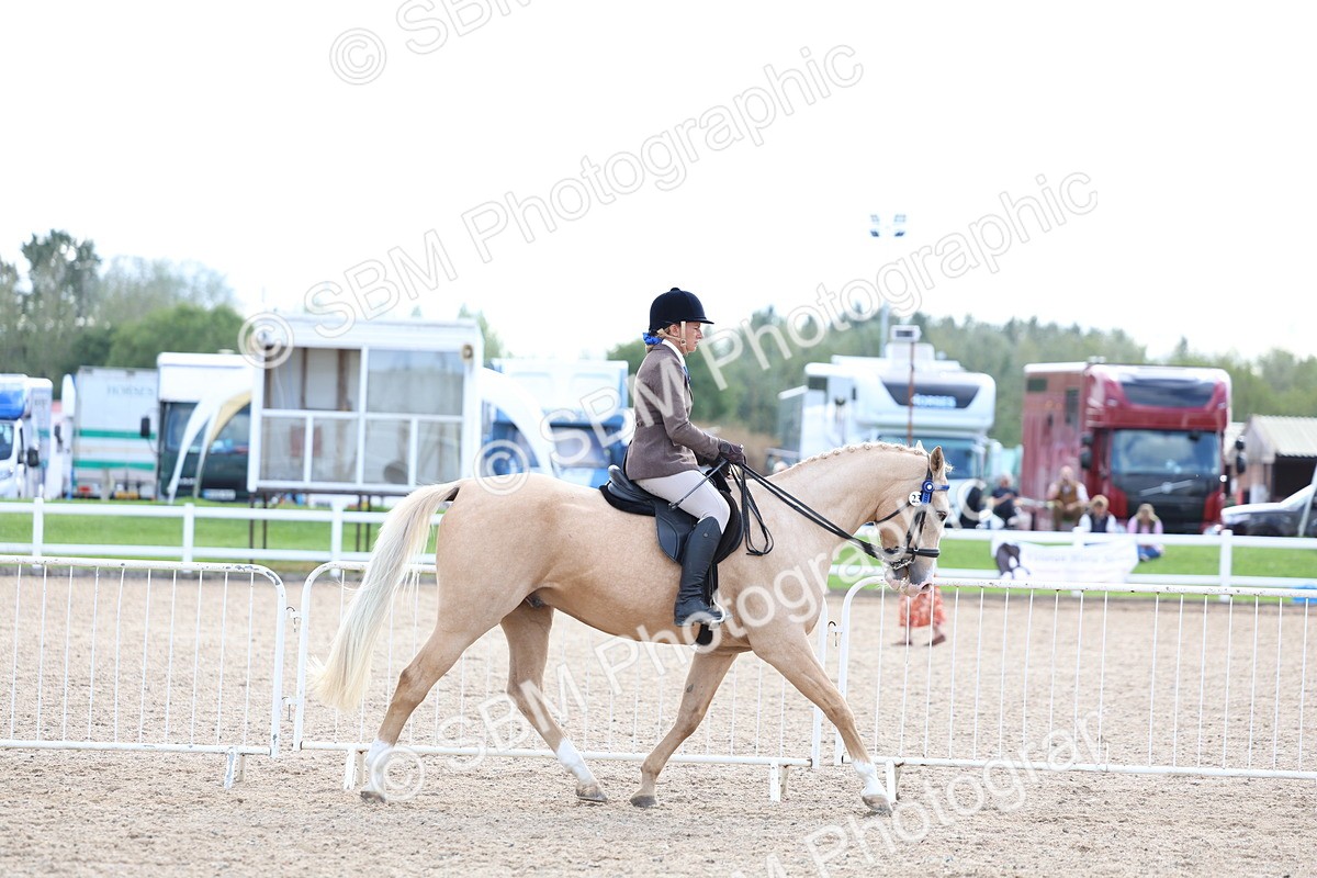 SBM_17094 - Class 315 - Best Horse - Rider Combination