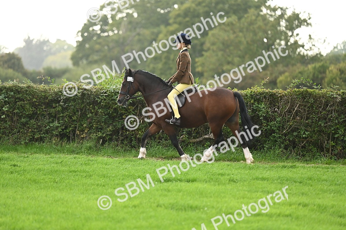 SBM_26632 - S7 - Novice & Newcomer Ridden Pony