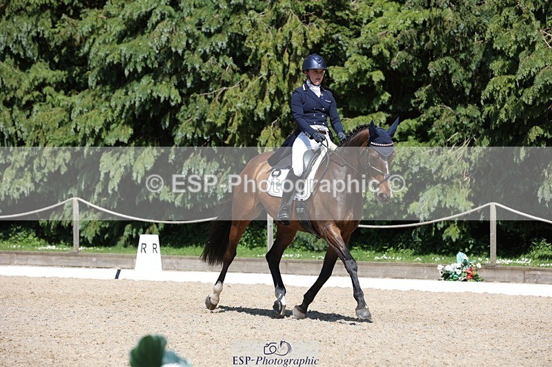 230526-151313-06654 - 379-QUIZICAL_Z-Alice_Hallows-WEDTrotUp+DR