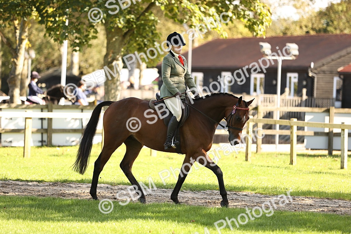 SBM_16968 - S2 - TSR Ridden Pony Showing