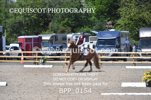 BPP_0154 - SHORT ARENA  MY QUEST PRELIM