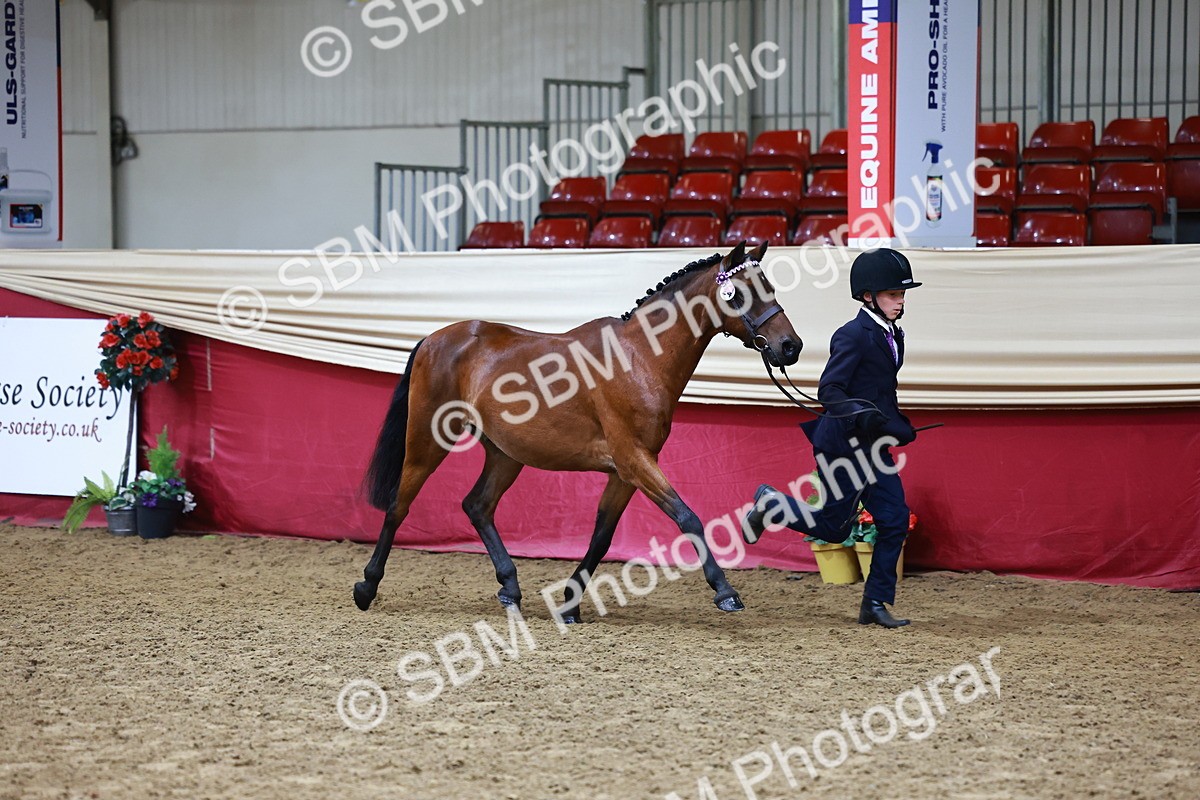 SBM_22122 - Class 902 - Supreme Final - IH Diamond