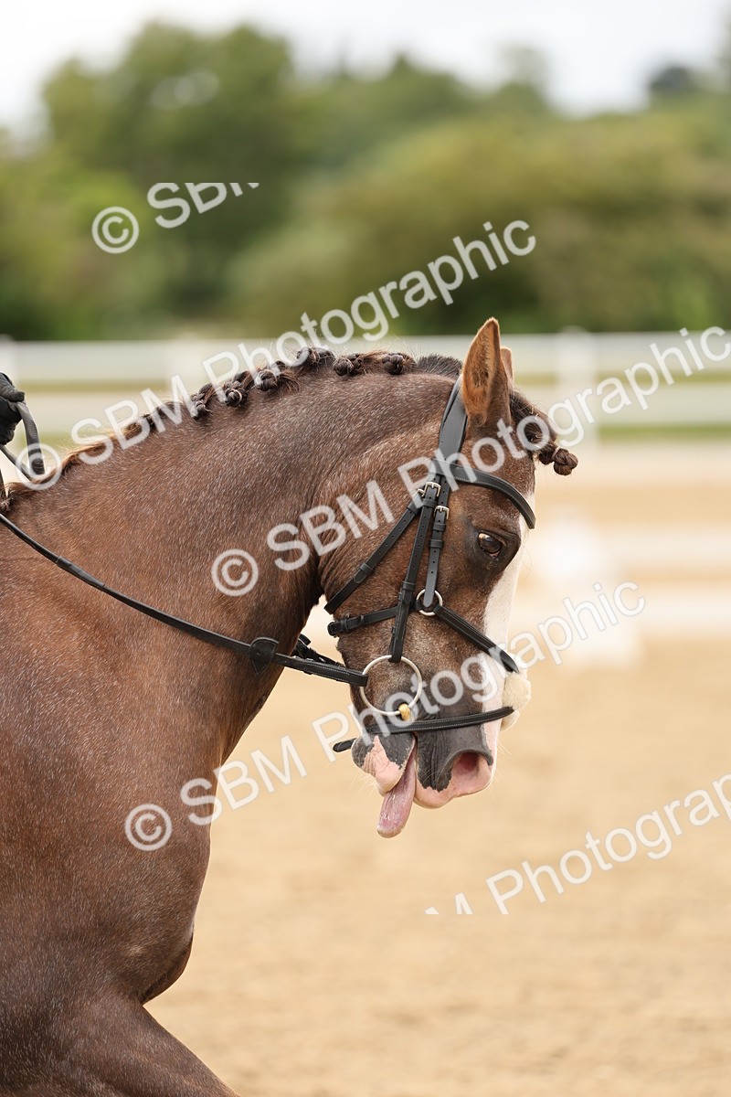 SBM_002512 - Class 6a - Novice 5 - 11.53-14.27