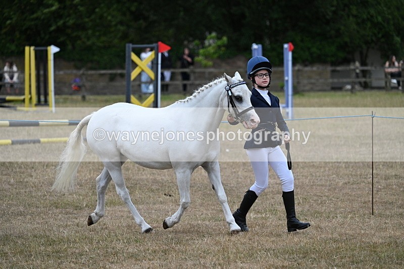 WJ7_8335 - Class 4 Prettiest Mare up to 14.2hh