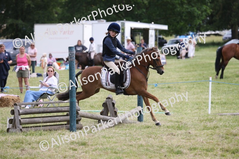 20260614-4121 - Class 24 - Mini and Major Pairs Jumping
