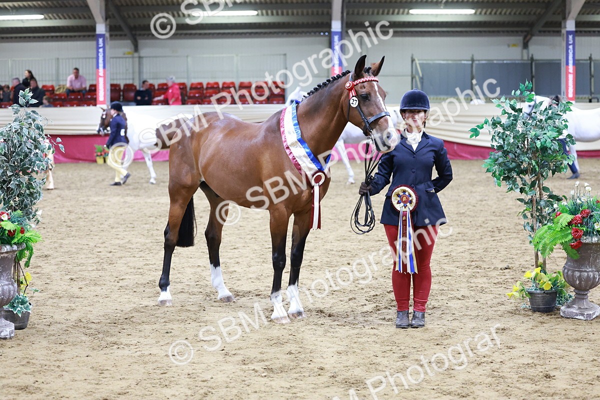 SBM_20143 - Class C - Novalty Champ