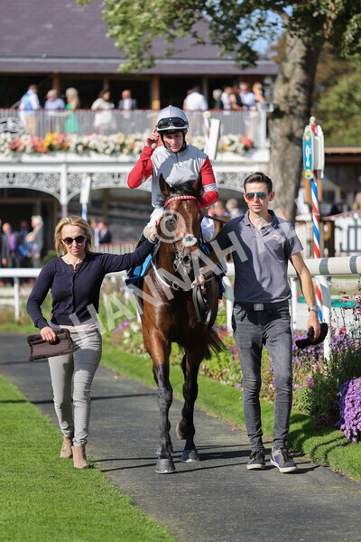 yr08102021r1-29 - Race 1 2.05pm Parsonage Hotel and Cloisters Spa Nursery Handicap