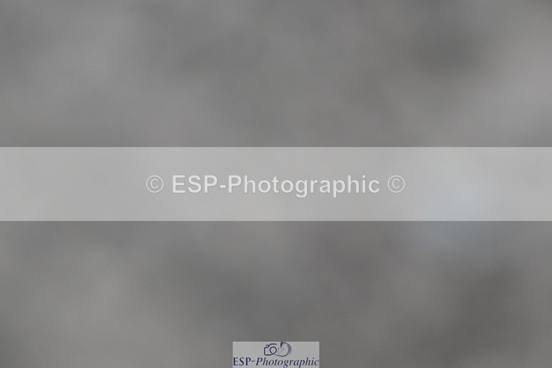 240611A-184016-01003 - 50cm