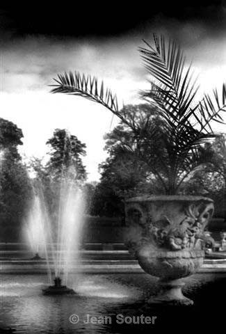 BW10 - Black & White