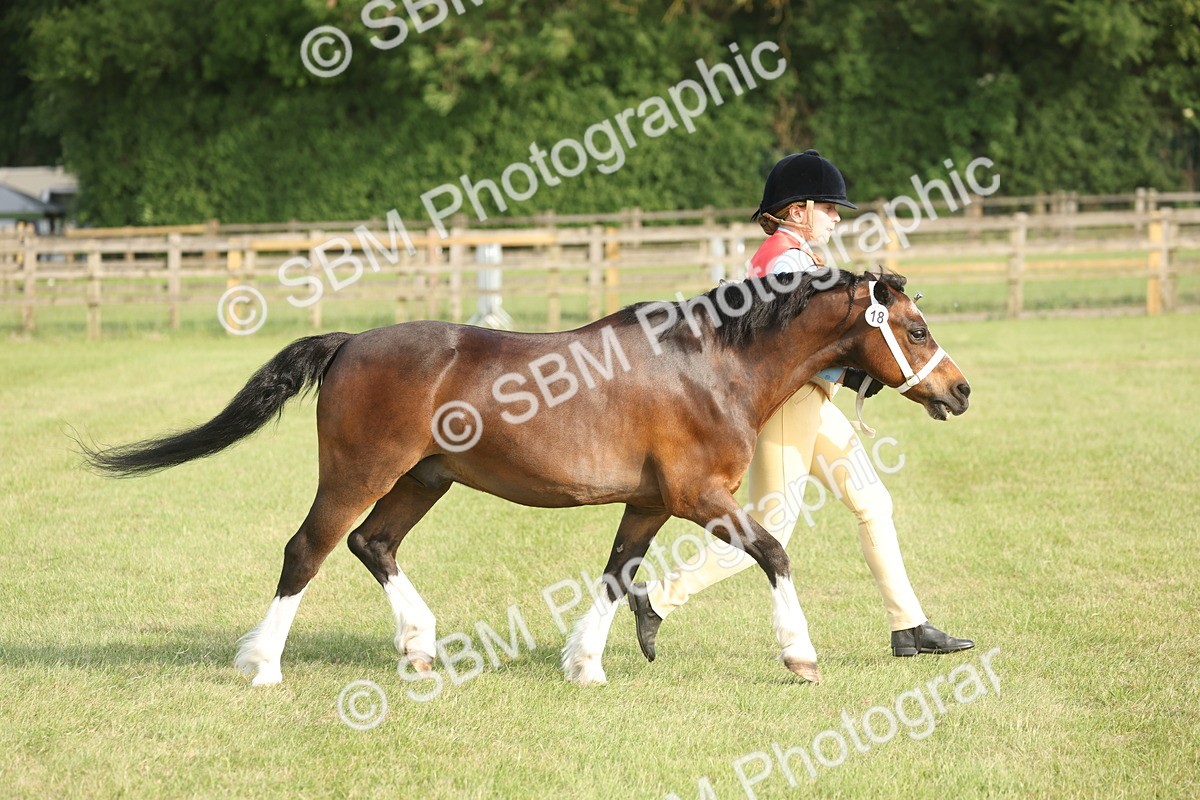 SBM_10592 - Class 33-38 - SSADL RIHS Qualifiers
