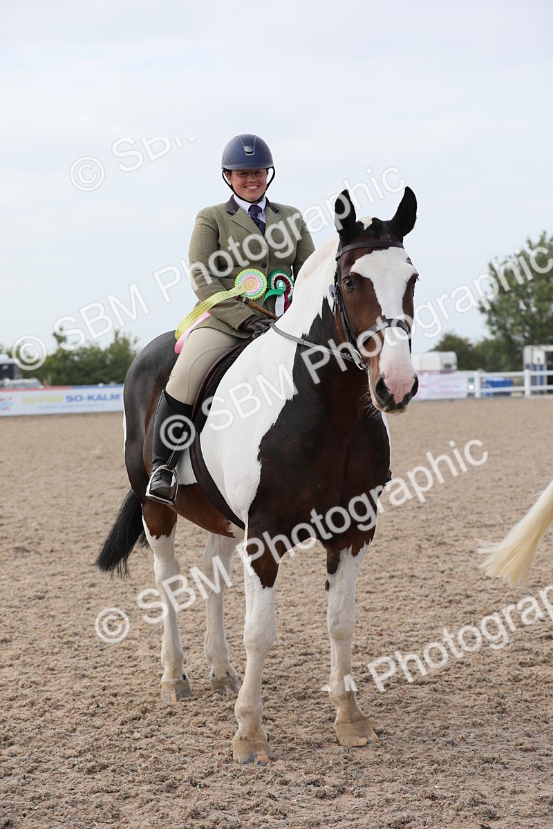 SBM_17054 - Class 314 Family Horse/Pony