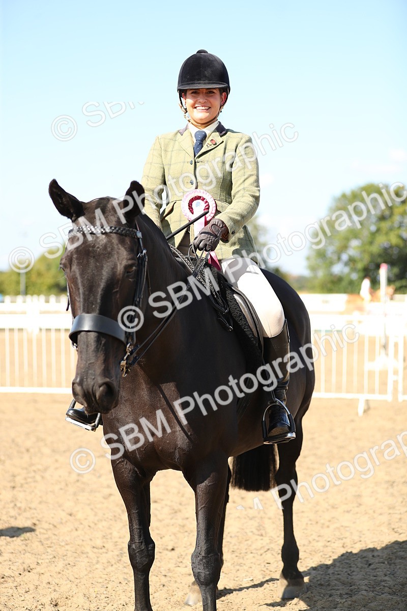 SBM_02398 - Class 43 Ridden Competition Horse/Pony