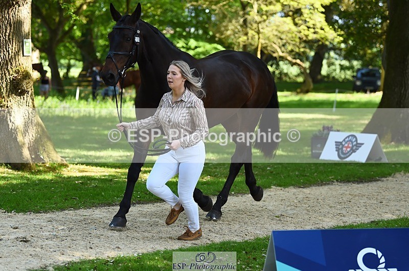 230524-160208-00633 - 209-MONBEG_EBONY-Molly_Fletcher-WEDTrotUp+DR