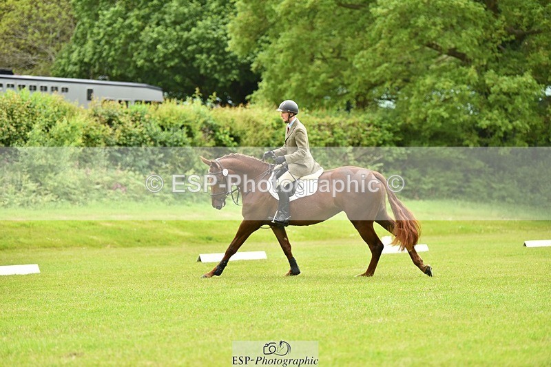 240523B-100226-01683 - 4 Year Old