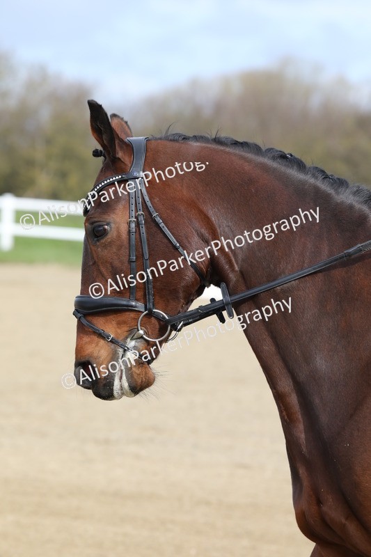 20260314-1889 - CT2 - Prelim 1