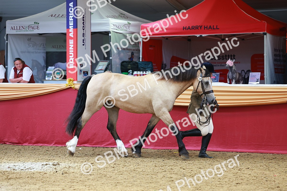 SBM_04187 - Class 9R - IH Pre-Vet
