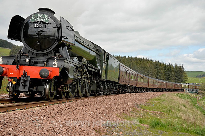  - WAVERLEY LINE 2012-2015