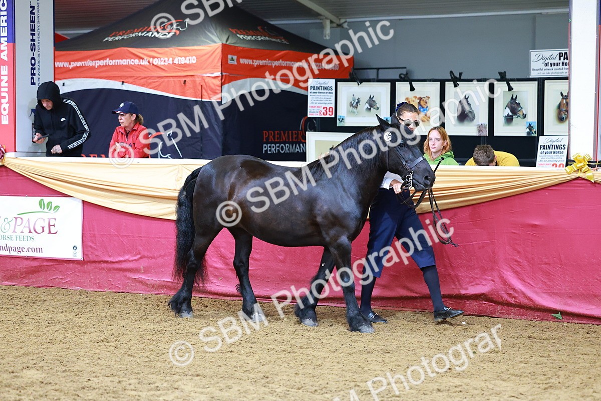 SBM_16113 - Class 901 - Sup Final - IH Diamond