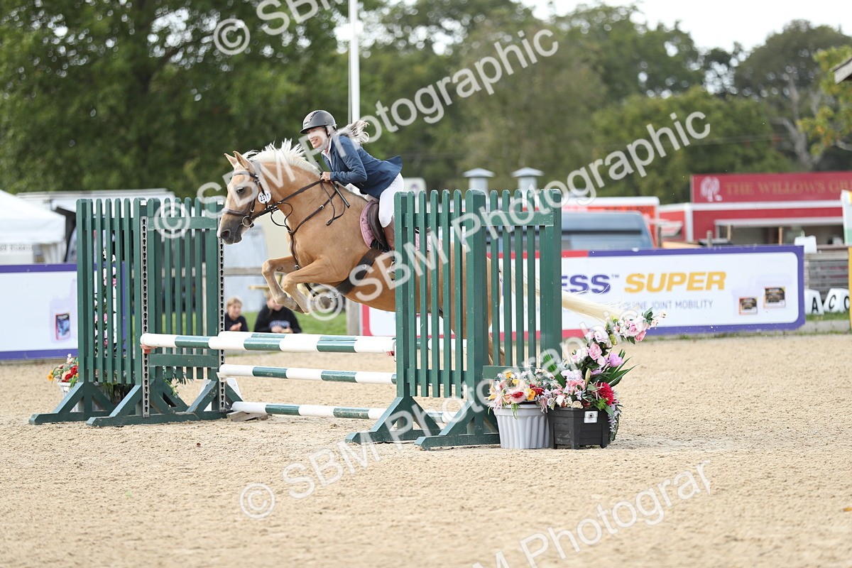 SBM_08445 - J30 - Senior Horse & Pony 70cm Championship