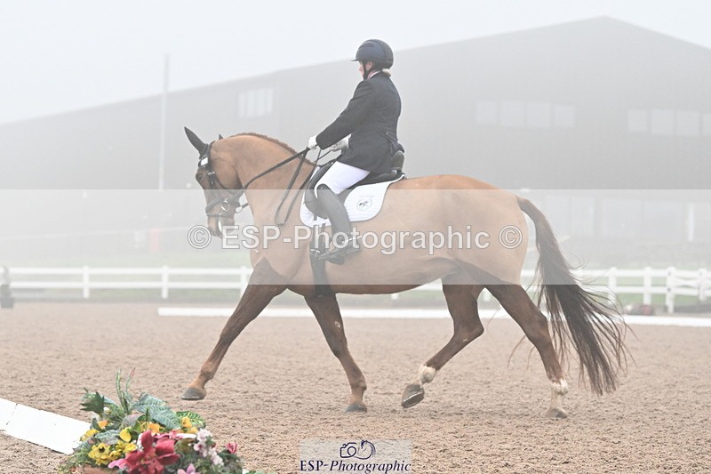 240217A-134830-03480 - 259-Claire.Speer-Joyful.Optimism