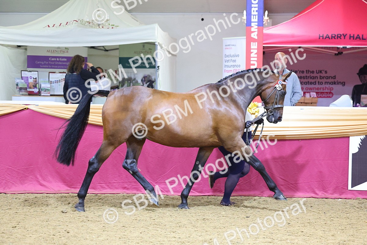 SBM_20991 - Class 902 - Supreme Final IH Veteran