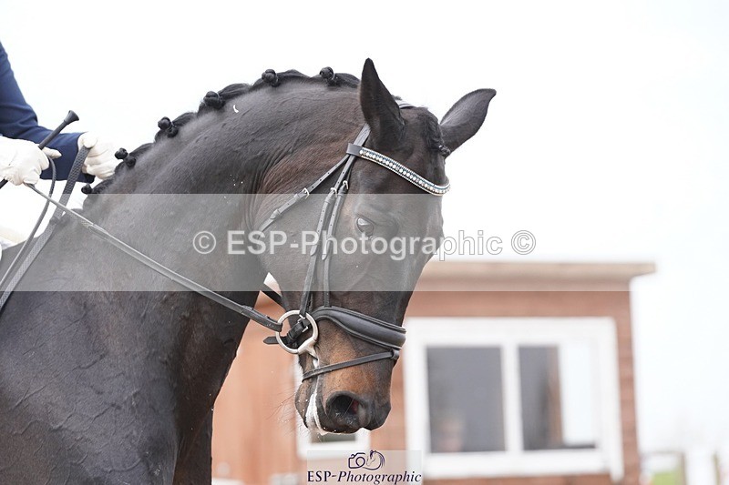 250404-102108-04278 - 003-Abbie.Newbury-Seagry.Firstamour