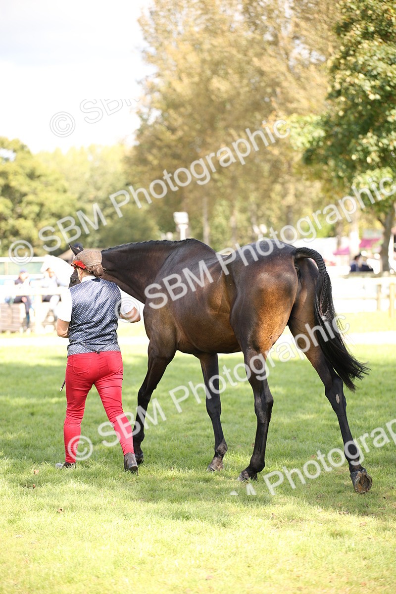 SBM_44432 - S24 - Young Veteran in hand