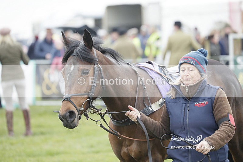 PtP 050323 92 - Blackmore & Sparkford Vale Hunt PtP - Somerset 05/03/23