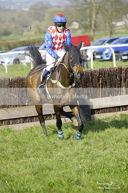 PtP 200322 388 - Mendip Farmers Point-to-Point 20/03/22