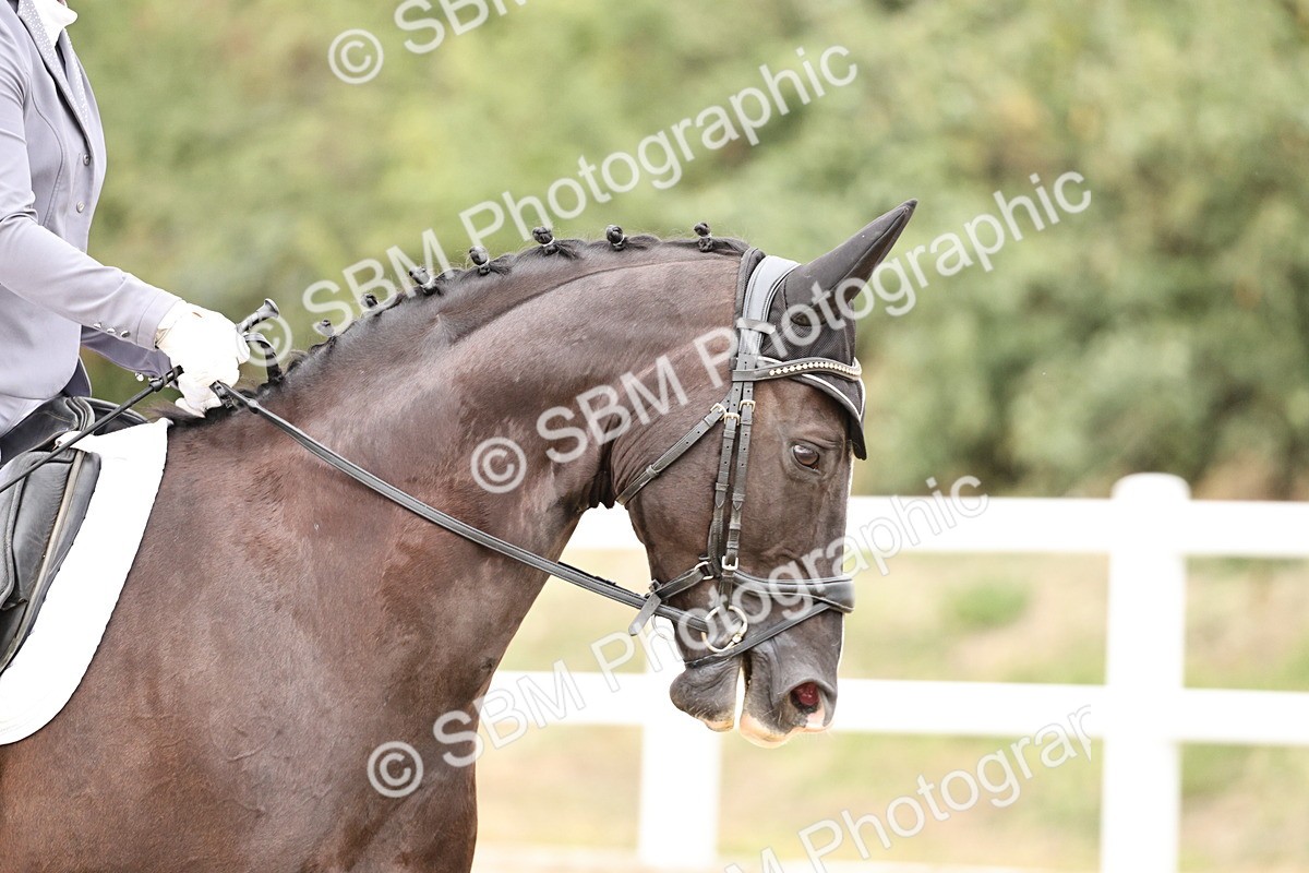 SBM_019684 - Class 18 - Elementary 5