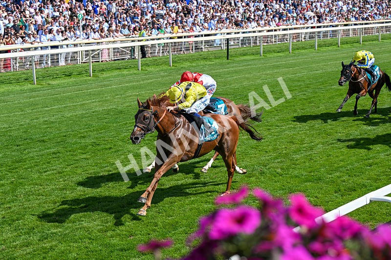 110726-Race 4-Raammee-0266 - Race 4 15.45pm John Smith's Cup