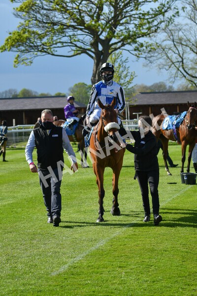 yr13052021r7-42 - Race 7 4.50pm Autohorn Stakes