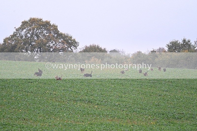 WJ7_8876 - Camera 1 only on this line