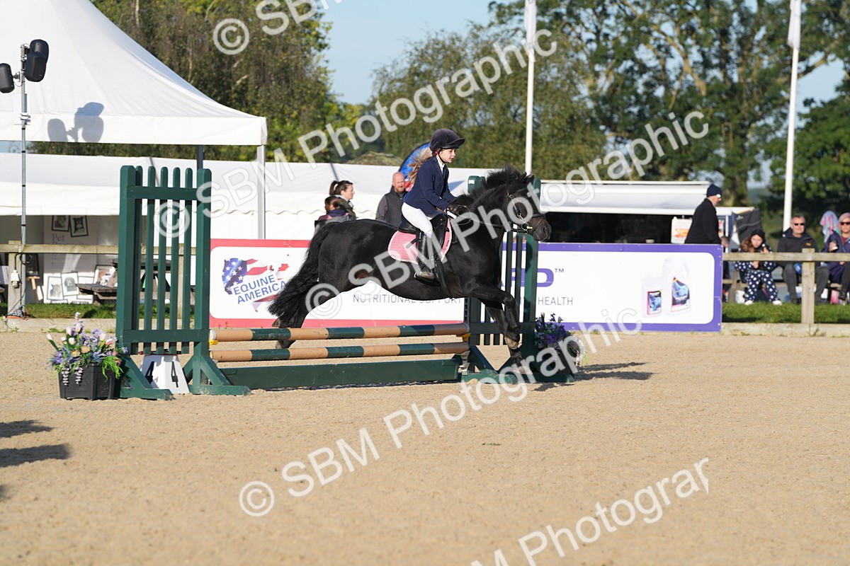 SBM_34343 - J62 - Clear Round 50cm