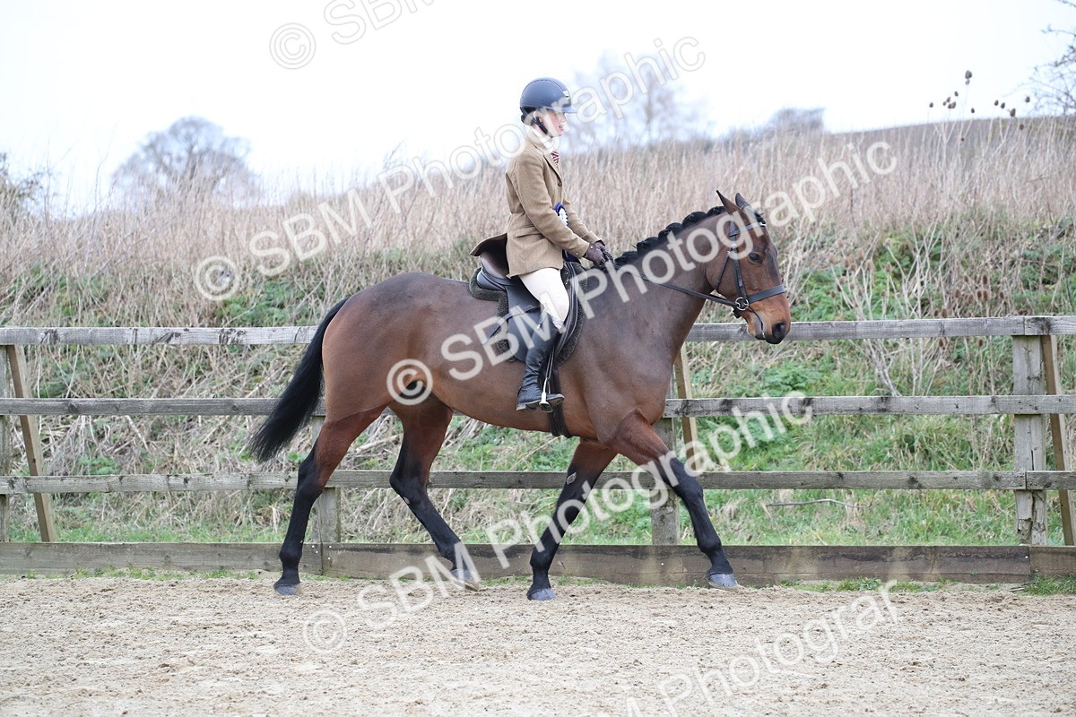 SBM_004791 - Class 5-9 - NPS In Hand-Show Hunter-Intermediate Ridden Inc Ridden Championship