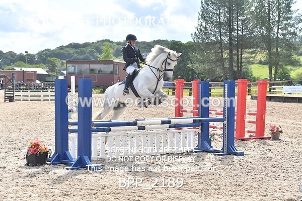 BPP_2189 - CLASS 2 SAT Club/ Unaffiliated 80cms Open