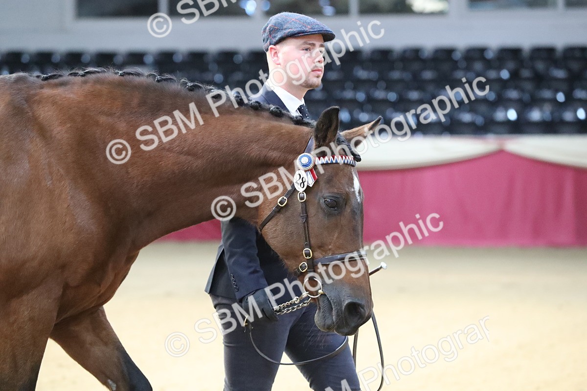 SBM_00190 - Class 1a - Area IH Diamond