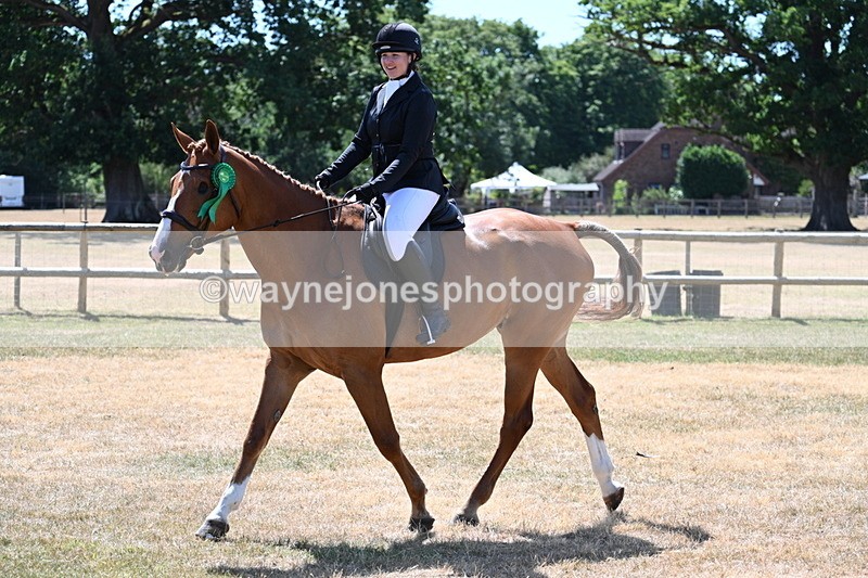 WJ7_3209 - Class 7 Riding Club Show Horse