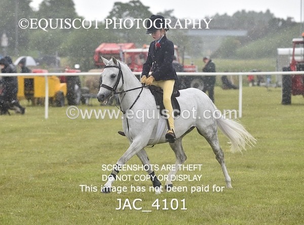 JAC_4101 - 40CM WORKING HUNTER