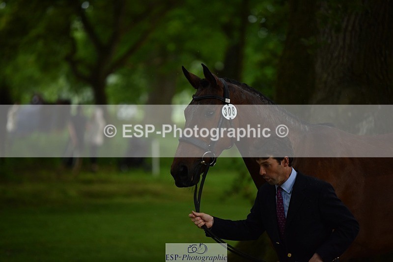 240522-151224-00165 - 308-COOLEY_ANYTHING_YOU_LIKE-Harry_Meade