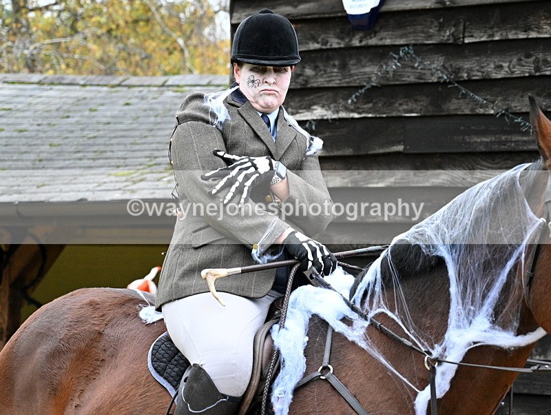 WJ7_6163 - Berks & Bucks - Children's Meet - The Old Farmhouse – Steventon.