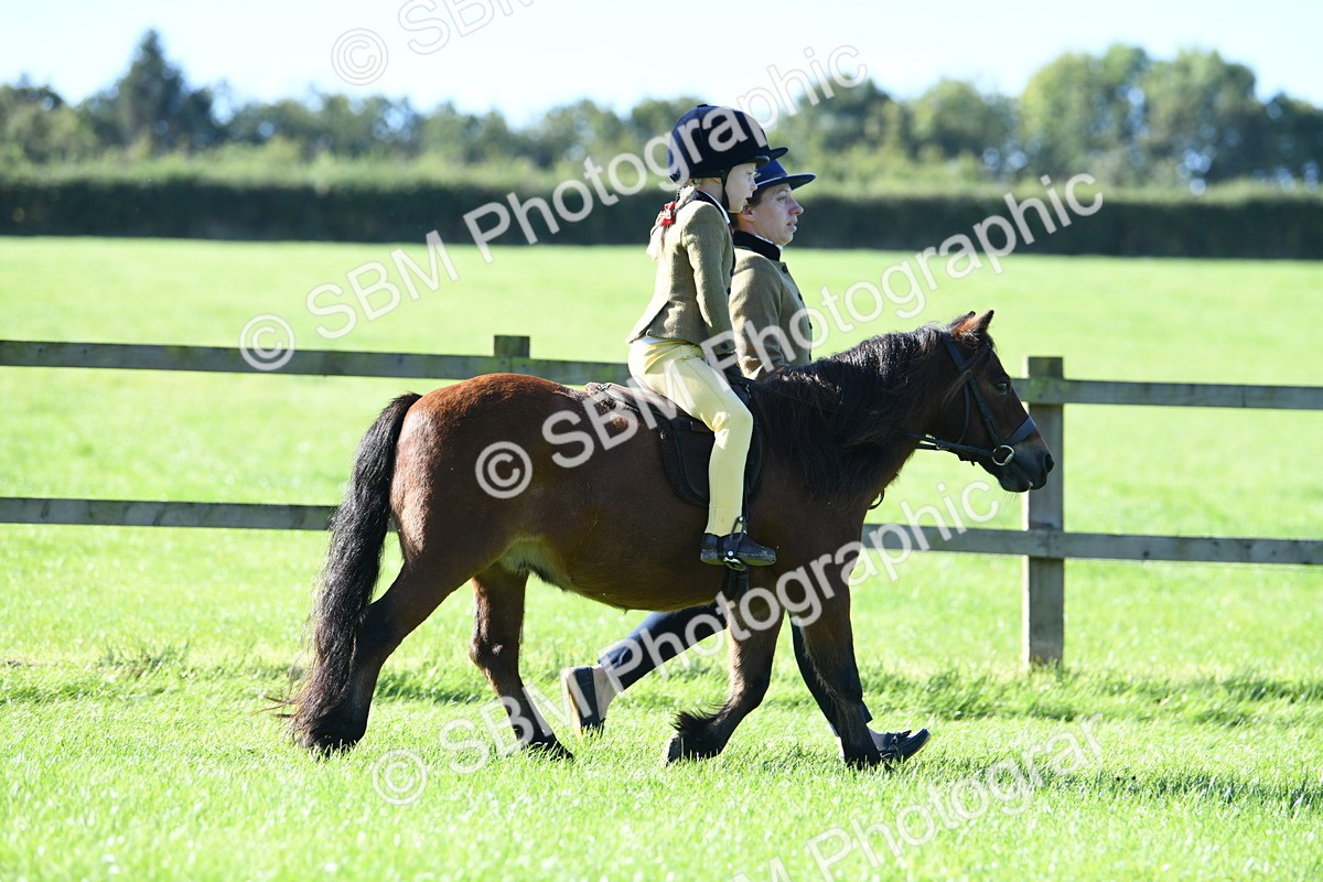 SBM_36791 - S18 - Novice & Newcomers Lead Rein Pony
